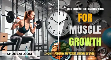 Intermittent Fasting and Muscle Growth: Fact or Fiction?