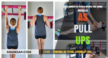 Inverted Rows vs. Pull-Ups: Targeting the Same Muscle Groups?
