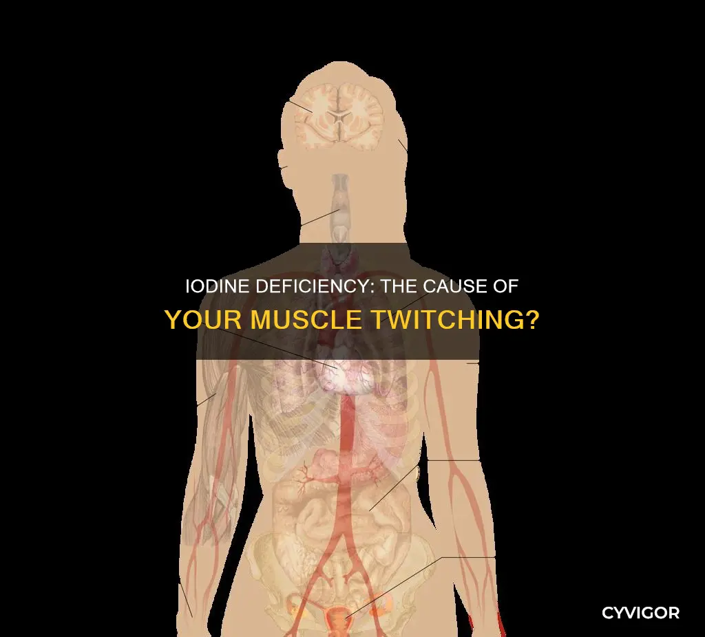 does iodine deficiency cause muscle twitches