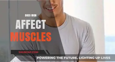 Unveiling the Impact of Iron on Muscle Health and Performance