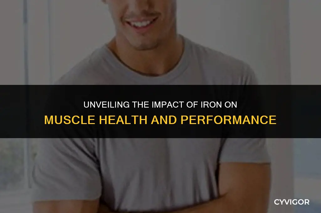 does iron affect muscles