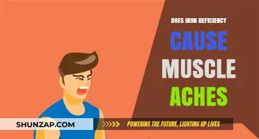 Iron Deficiency: Understanding the Link to Muscle Aches