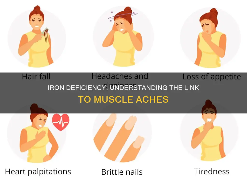 does iron deficiency cause muscle aches