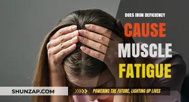 Iron Deficiency: Understanding the Link to Muscle Fatigue
