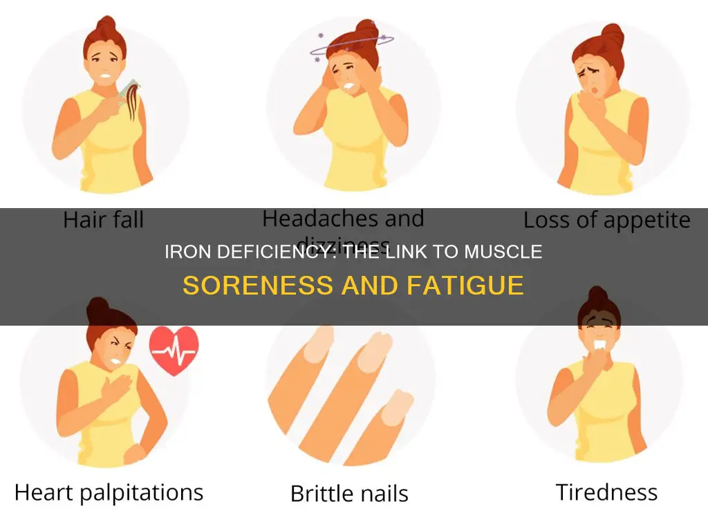 does iron deficiency cause sore muscles