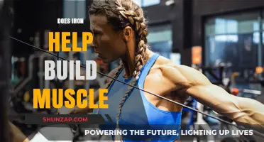 Iron's Role in Muscle Building: Fact or Fiction?