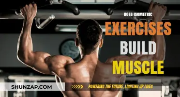 Unleashing Strength: The Power of Isometric Exercises for Muscle Building