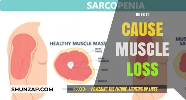How Muscle Loss Happens and Why
