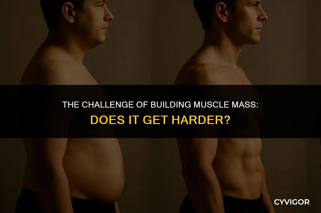 does it get harder to increase muscle mass