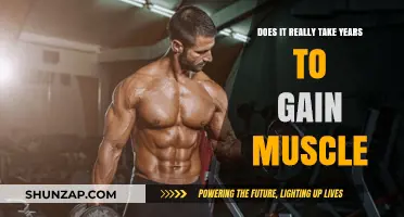 Muscle Building Myths: How Long Does It Really Take?