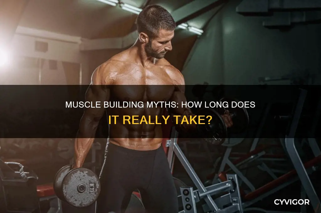 does it really take years to gain muscle