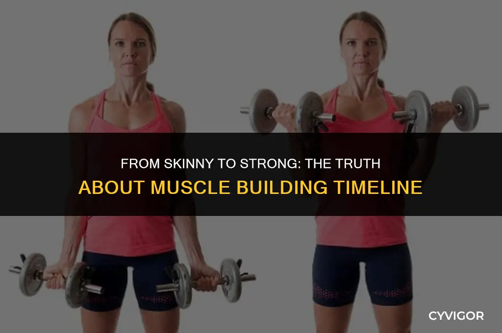 does it take years to build muscle