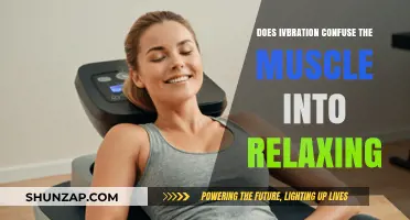 Can Vibration Therapy Trick Muscles into Relaxation? Exploring the Science