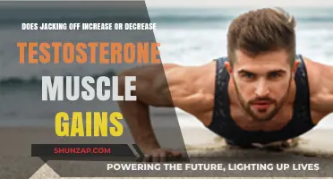 Masturbation and Testosterone: Impact on Muscle Gains Explained