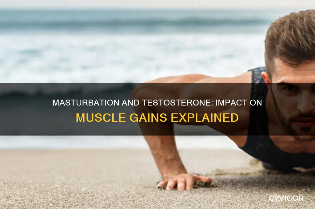 does jacking off increase or decrease testosterone muscle gains
