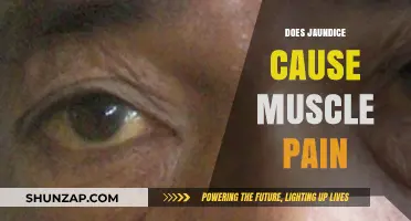 Jaundice and Muscle Pain: Is There a Link?