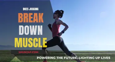 Jogging and Muscle Breakdown: Friend or Foe?