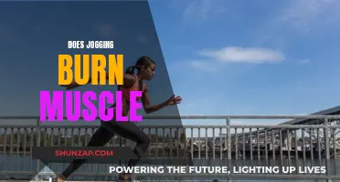 Jogging: Friend or Foe to Muscle?