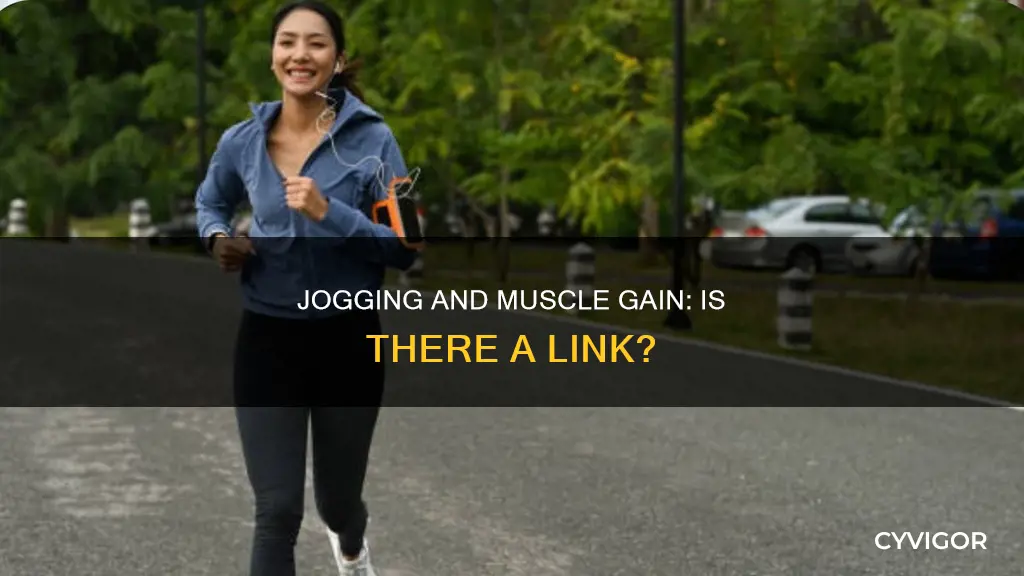 does jogging increase muscle
