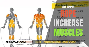 Jump Rope Workouts: Building Muscle and Agility