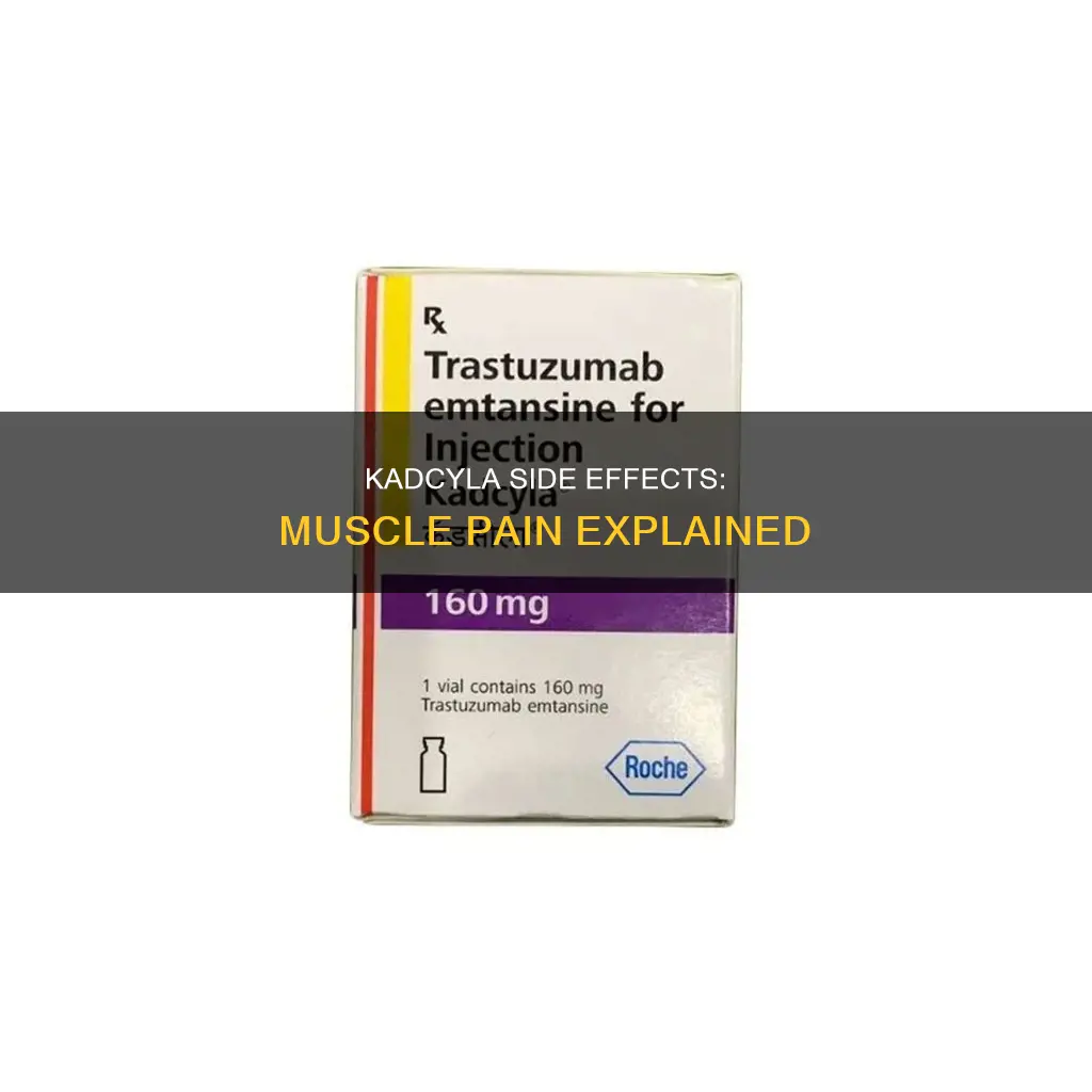 does kadcyla cause muscle pain
