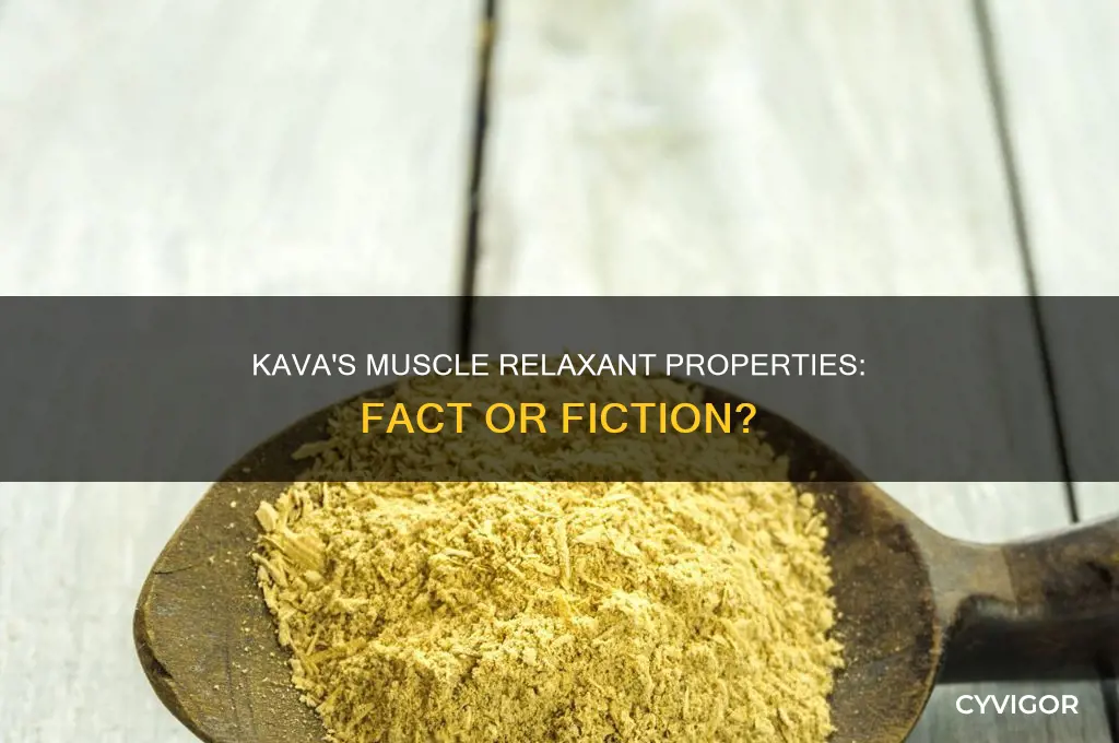 does kava act as a muscle relaxer
