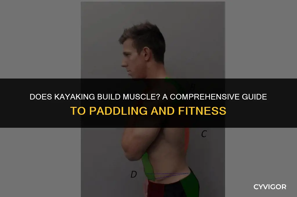 does kayaking build muscle