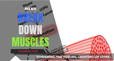Keto and Muscle Loss: What's the Real Deal?