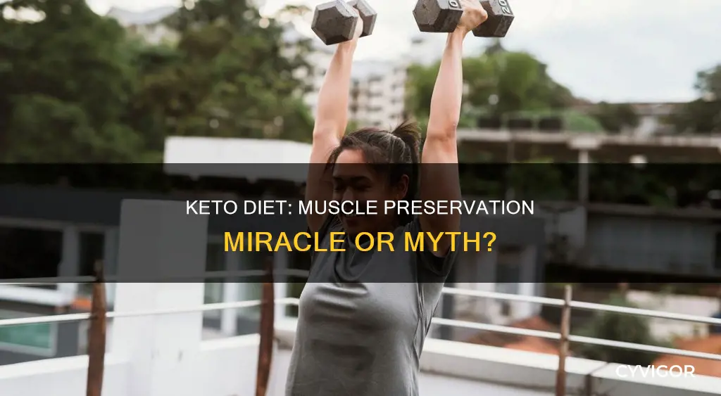 does keto diet preserve muscle