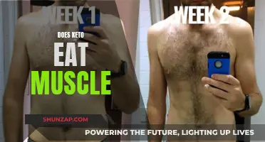 Keto Diet: Friend or Foe to Your Muscles?