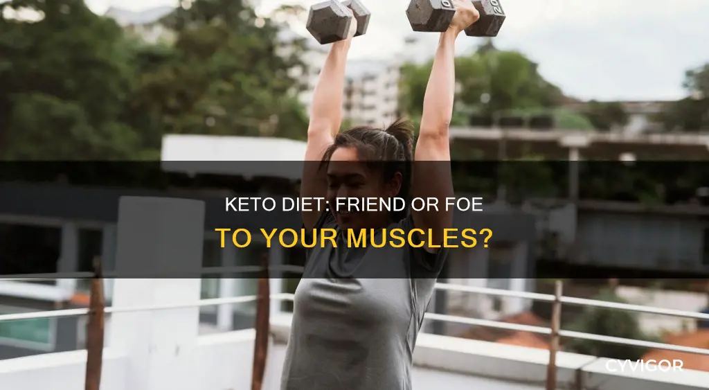 does keto eat muscle