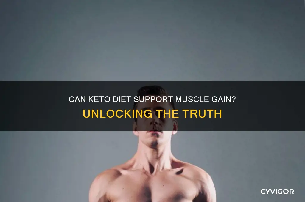 does keto help gain muscle