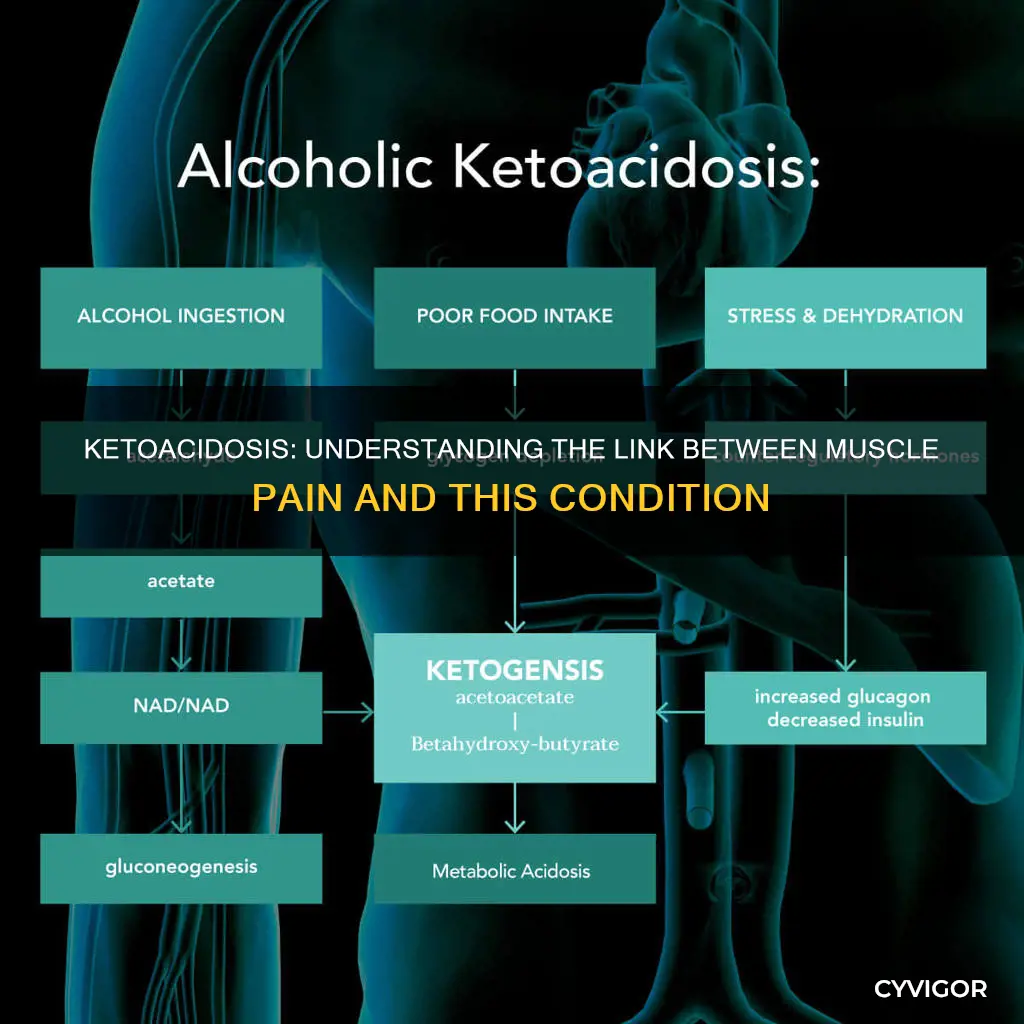 does ketoacidosis cause muscle pain