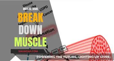 Ketosis and Muscle: Friend or Foe?