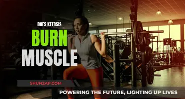 Ketosis and Muscle: Friend or Foe?