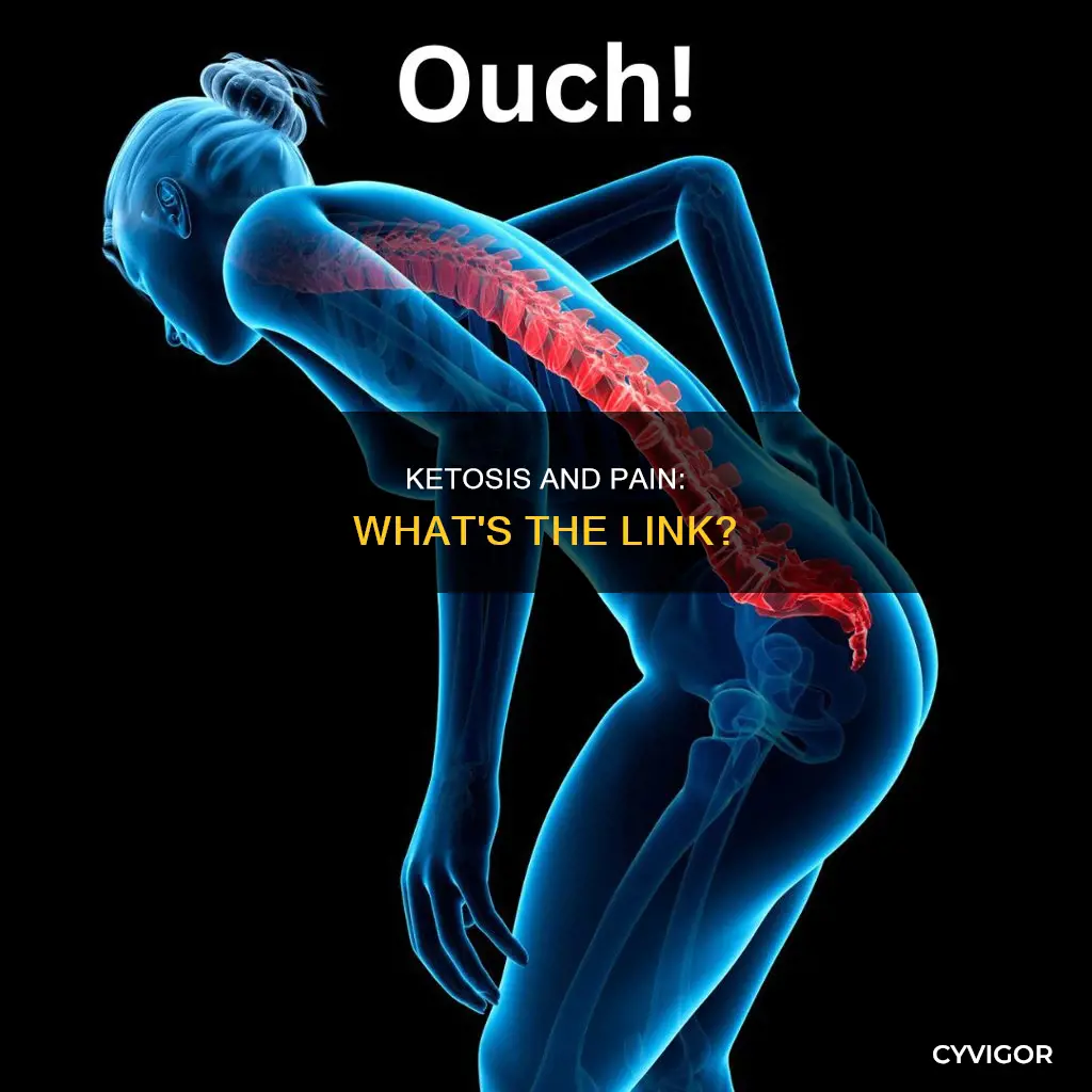does ketosis cause muscle and joint pain