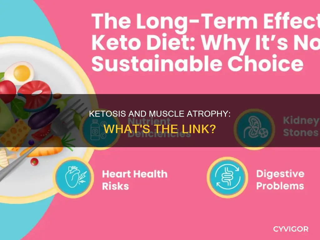 does ketosis cause muscle atrophy