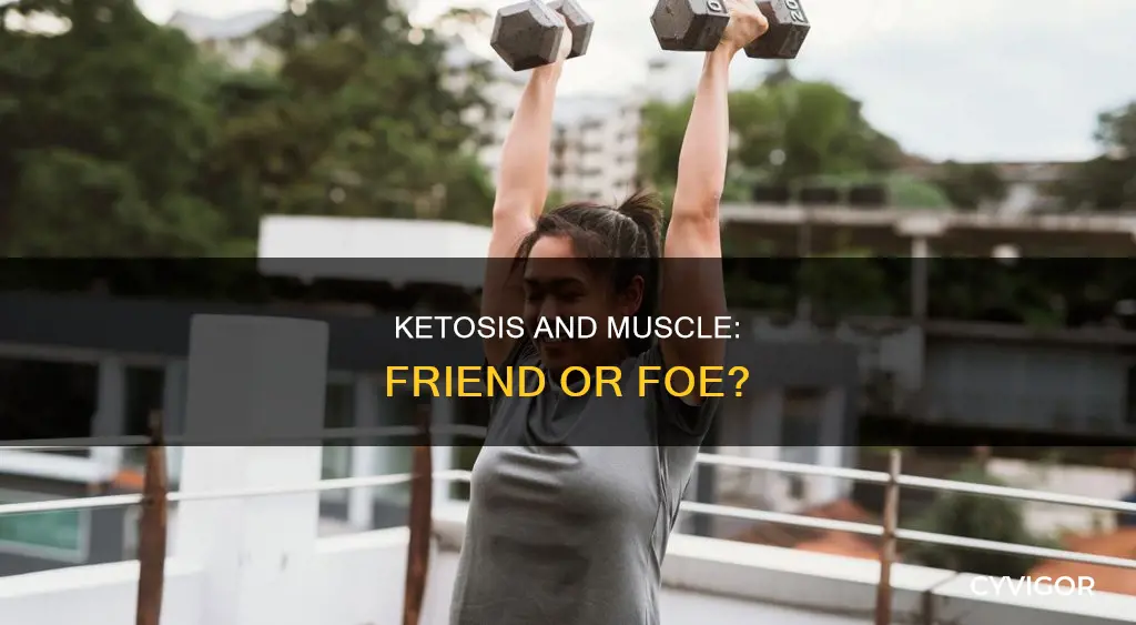 does ketosis eat muscle