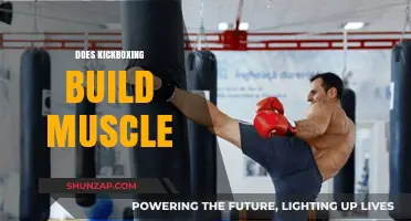 Kickboxing: A Powerful Way to Build Muscle and Boost Fitness