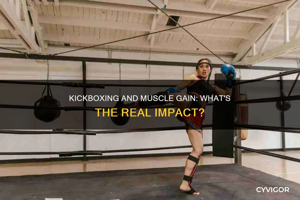 does kickboxing increase muscle