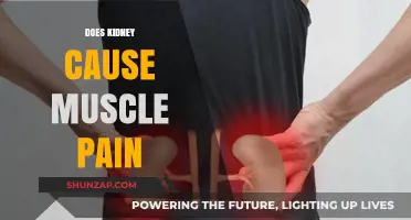 Kidney Disease and Muscle Pain: What's the Link?
