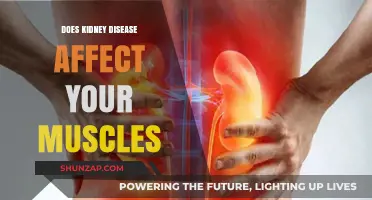 Exploring the Impact of Kidney Disease on Muscle Health