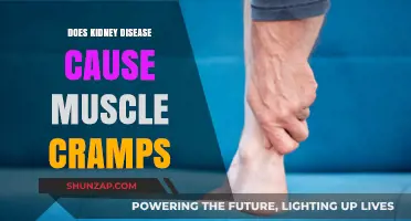 Kidney Disease and Muscle Cramps: What's the Link?