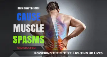 Kidney Disease: Muscle Spasms and Their Link