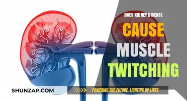 Kidney Disease: Can It Cause Muscle Twitching?