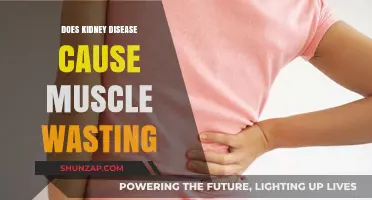 Kidney Disease: Muscle Wasting and Loss