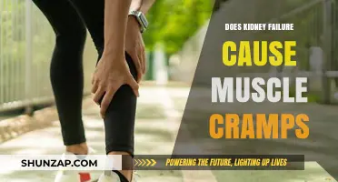 Kidney Failure: Muscle Cramps and Their Link