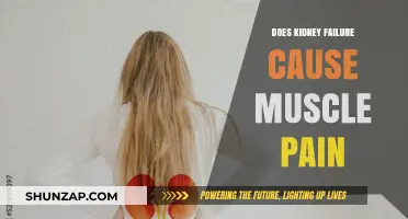 Kidney Failure: Can It Cause Muscle Pain?