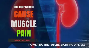 Kidney Infection and Muscle Pain: What's the Link?