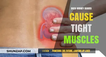 Kidney Issues: Tight Muscles and Their Connection